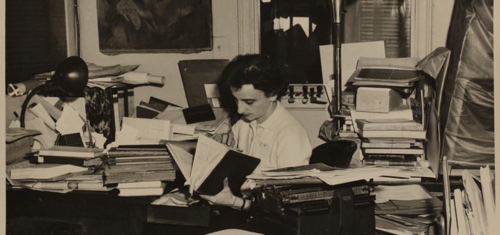 foerg ambassadors residence