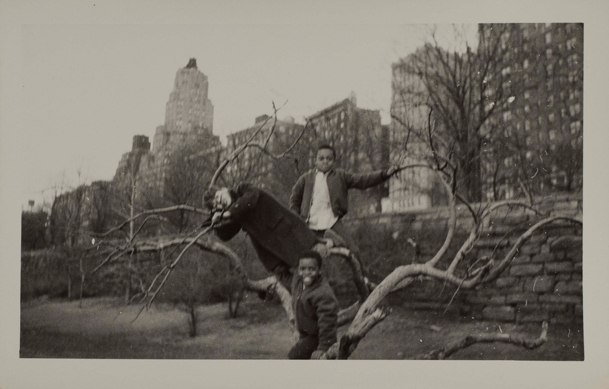 Bernd and Annorte Zondek Family Collection